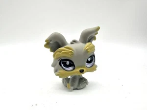 littlest pet shop lps yorkie dog 883 glass eyes - Picture 1 of 3