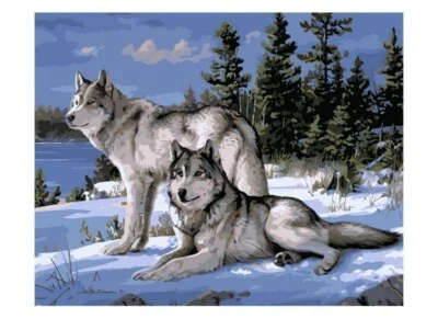 Paint By Numbers Adults kids Peaceful Wolves DIY Painting Kit 40x50CM Canvas - image 1 of 4