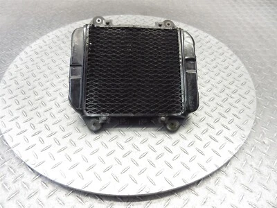 Ventilador de radiador Kawasaki EX250R Ninja 250R 2004 88-07 probado funciona Foto 1 de 4