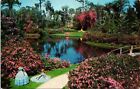 Cypress Gardens Flordia Scenic Tropical Landscape Chrome Cancel WOB Postcard