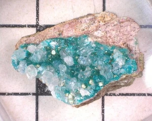 04794 mm Dioptase Fluorapophyllit (K) Weihnachtsmine Gila County Arizona USA 3 - Bild 1 von 1