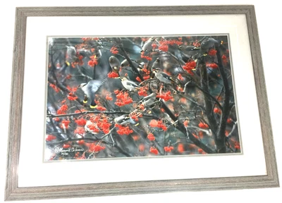 Mervin D Coleman Waxwing Frenzy Image Coleman Gallery Studio Red Lodge Montana Foto 1 de 4