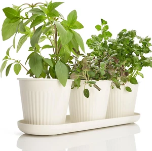 Beautiful Herb Garden Planter Indoor Set of 3 - Perfect for Any Kitchen Window S - Picture 1 of 7