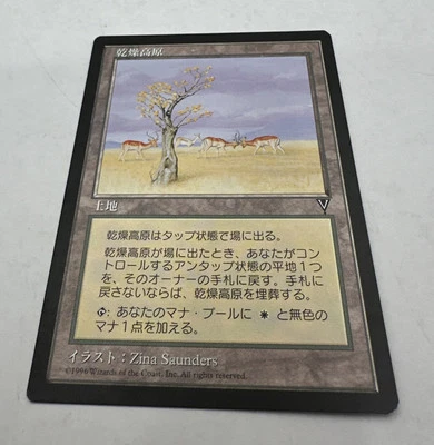 MTG * Karoo  Visions  FBB Japanese NM Never Played  Regular  SellbyCyn - Image 1 of 4