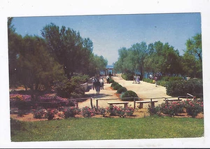 ISRAEL,NATHANYA,VICTORY GARDEN, AN OLD PC, MINT 50'S - Picture 1 of 2