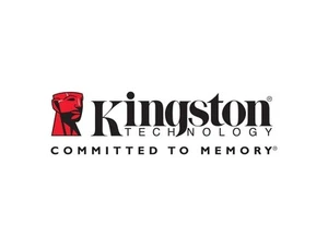 Kingston 32GB 288-Pin DDR4 SDRAM ECC Registered DDR4 3200 (PC4 25600) Server Mem - Picture 1 of 1