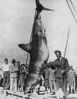 Mako Shark On Rod And Reel 1943 Old Fishing Photo