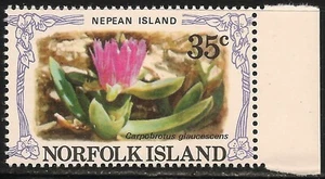 Norfolk Island #289e (A68) VF MNH - 1982 35c Carpobrotus Glaucescens Flower - Picture 1 of 1