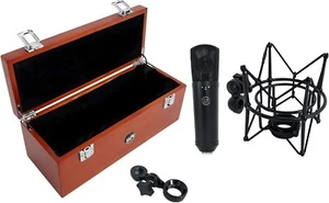 Warm Audio WA-87 R2 Large Diaphragm Condenser Microphone - Black New!!! - Picture 1 of 7