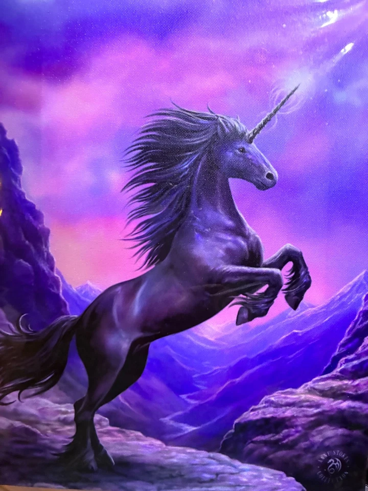 black unicorn canvas - Image 1 of 1