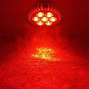 21W 625~630nm Red PAR30 LED Lamp Spot Light Bulb Therapy Plant Aquarium E26 E27 - Picture 1 of 5