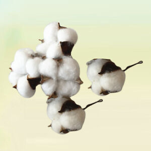 5 pièces fleur de coton coton coton artificiel mariage fleur artificielle