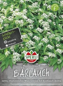 Bärlauch Wald Knoblauch - Bild 1 von 2