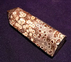 Versteinerte Koralle, achatisiert, Indonesien 56,6g, 70x26x19mm Fossil - Bild 1 von 6