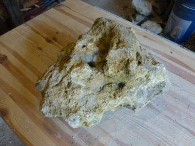 Quellstein Brunnenstein mit Loch für Quellsteinbrunnen Naturstein Nr. 111 Unikat - Bild 1 von 4