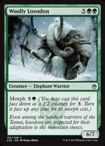 x1 Woolly Loxodon - Masters 25 - NM - MTG - Image 1 of 1