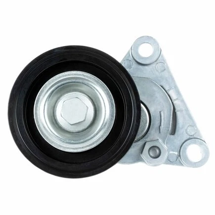 Cinturones 55570 Accesorio Correa de transmisión Tensor Polea Fead Automático para Goodyear Foto 1 de 4