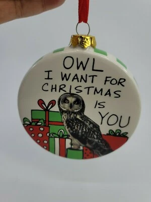 Búho Quiero Para Navidad Eres Tú Ornamento Lorrie Veasey Hoots N Howlers Usado en Excelente Condición  Foto 1 de 3