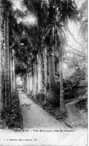 CPA - Golfe-Juan - Villa Mauresque - Allée de cocotiers - Imagen 1 de 1