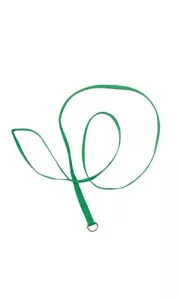 Groomer Essentials 4' Guinzagli per Cani - Confezione da 12 - Verde - Verde Guinzagli per Cani - Foto 1 di 1
