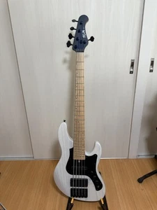 FGN J-Standard Mighty Jazz 5-string bass Safe Packing! - Imagen 1 de 3