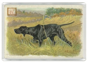 POINTER BLACK VINTAGE STYLE SODA ADVERT DOG NOVELTY ACRYLIC FRIDGE MAGNET GIFT - Picture 1 of 1