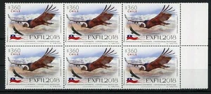 Chile EXFIL 2018 Philatelic Exposition Condor Vultur Bird Block of 6 Mint NH MNH - Picture 1 of 1