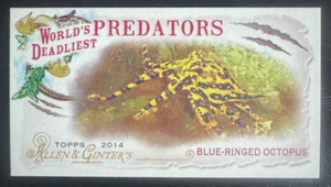 2014 Allen and Ginter Mini World Deadliest Predators WDP03- Blue-Ringed Octopus - Picture 1 of 1