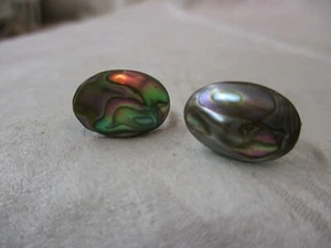 Vintage silver tone Screw Post Earrings with Abalone Shell - Picture 1 of 3