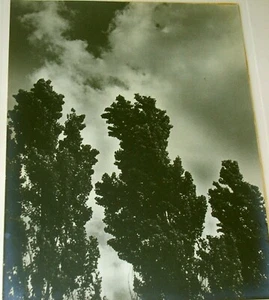 1940 Foto de gabinete, firmada y titulada por Richard Homer Brown, tormenta que se acerca - Imagen 1 de 4
