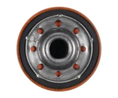 РАМКА МАСЛО FLT 12/CS EXTRA-GUARD- PH3614 - Изображение 1 из 4