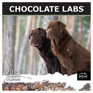 Calendario de Pared MICASA Chocolate Labs 2025 12 Meses | 12" x 24" Abierto | Grueso y... - Imagen 1 de 6