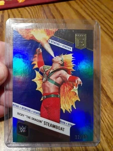 2023 Panini Donruss Elite WWE Ricky "The Dragon" Steamboat 22/80 - Picture 1 of 4