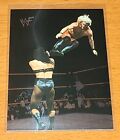 WWE WWF CHRIS JERICHO 2000 IMAGES DE BANDE DESSINÉE NO MERCY #29