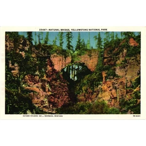 Natural Bridge Yellowstone National Park Postcard Vintage Unposted - Picture 1 of 2