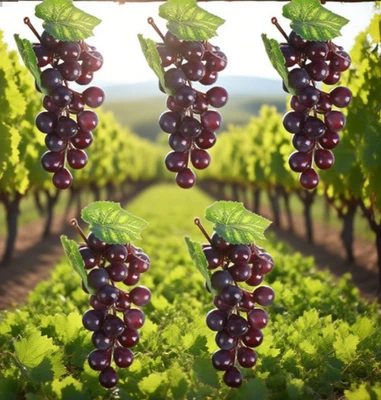 PVC Grape Cluster Set of 5 for Decorative Arts and Photography Backdrops - Image 1 of 4
