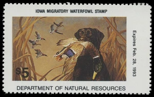 1992 Iowa State Duck Stamp Mint Never Hinged. Original Gum - Picture 1 of 1