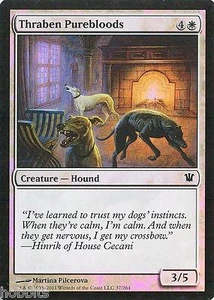 MTG - Innistrad - Thraben Purebloods - 2X - Foil - NM - Picture 1 of 1