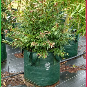 150 Litre Woven Plant Bags with handles - Pack of 1 Bag - Landscape Growbag - Picture 1 of 4