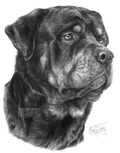 Rottweiler Large Superb Quality Giclee Print by Mike Sibley, Collectable - Picture 1 of 4