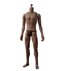 WorldBox 1:6 AT020 Pro Upgraded 12" Male Muscle Action Figure Toys Body NO HeaOc - Picture 1 of 7