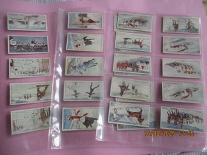 Lambert & Butler, Winter Sports Complete set of 25 - Picture 1 of 7