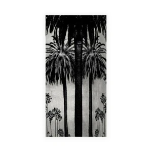 Stampa Su Tela Su Carta Poster o Quadro Bennett Kate Palms with Silver II - Imagen 1 de 2
