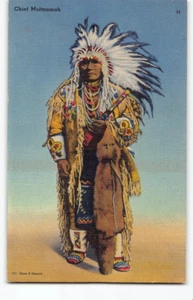 Chief Multnomah~Columbia River Oregon~Native American Indian Postcard OR -N6 - Picture 1 of 4