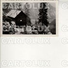 B8920 UDINE 1935 CARNIZZA CAMPOROSSO TARVISIO FOTO–CARTOLINA RIFUGIO PELLARINI