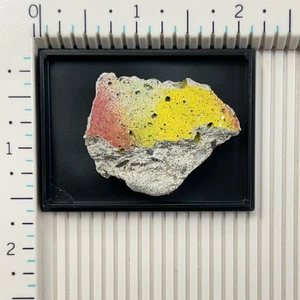 Berliner Mauer Fragment Graffiti Farbe mit Original DM & Euro Preisschild Andenken - Bild 1 von 6