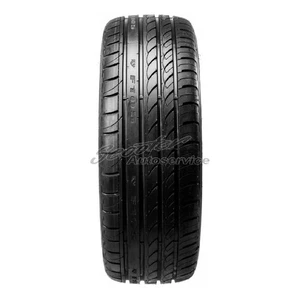 Minerva 225/30R20 85W Sommerreifen F 105 XL | 60282 - Bild 1 von 3