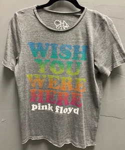 $69 Nueva con etiquetas Camiseta Gráfica Arco Iris Brand Chaser Gris Liso Rosa Floyd XS - Imagen 1 de 4