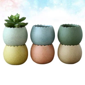 6 Pcs Succulent Plant Pots Office Garden and Planters Decorative - Picture 1 of 11