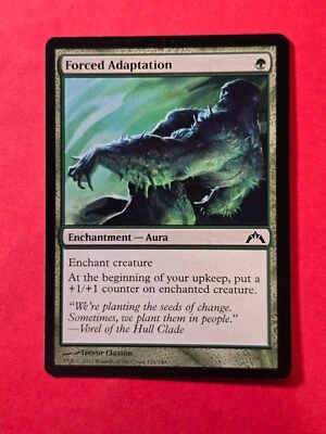 2013 Magic The Gathering Gatecrash #120 Forced Adaptation, C, NF, cd3 - Image 1 of 3